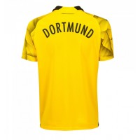 Borussia Dortmund Replica Third Shirt 2023-24 Short Sleeve